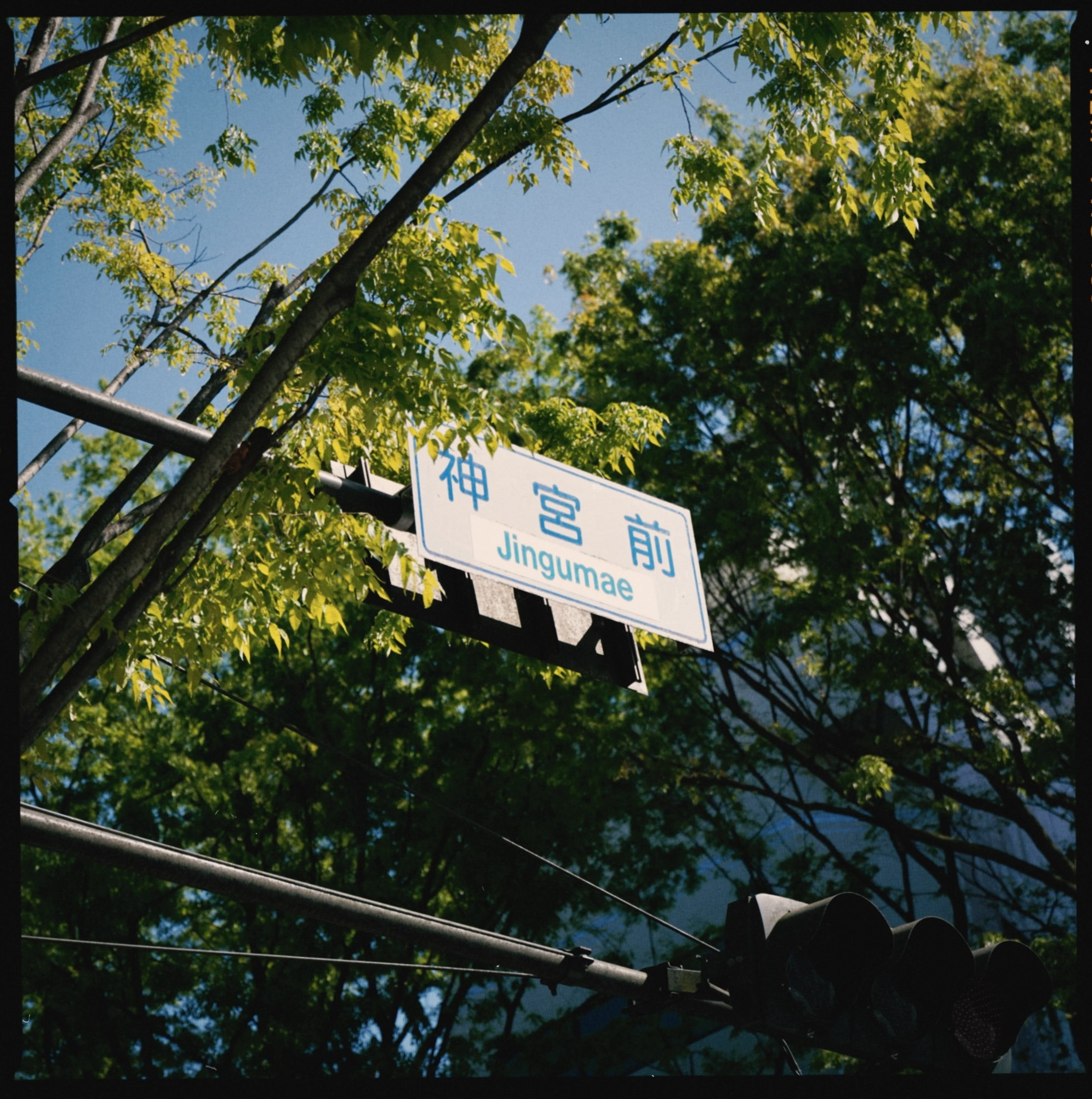Jingumae street sign beneath green trees