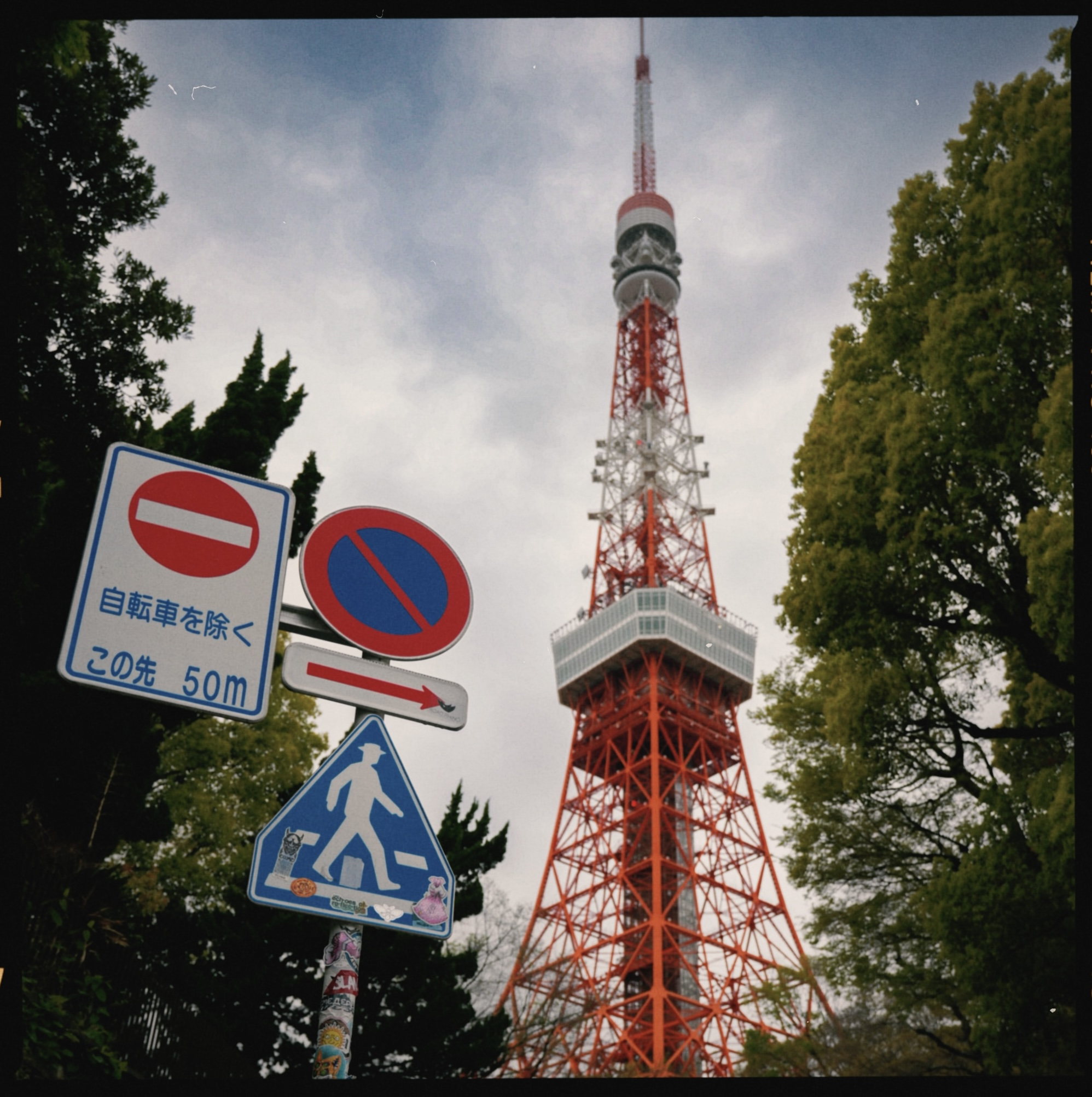 Tokyo Tower framed by trees