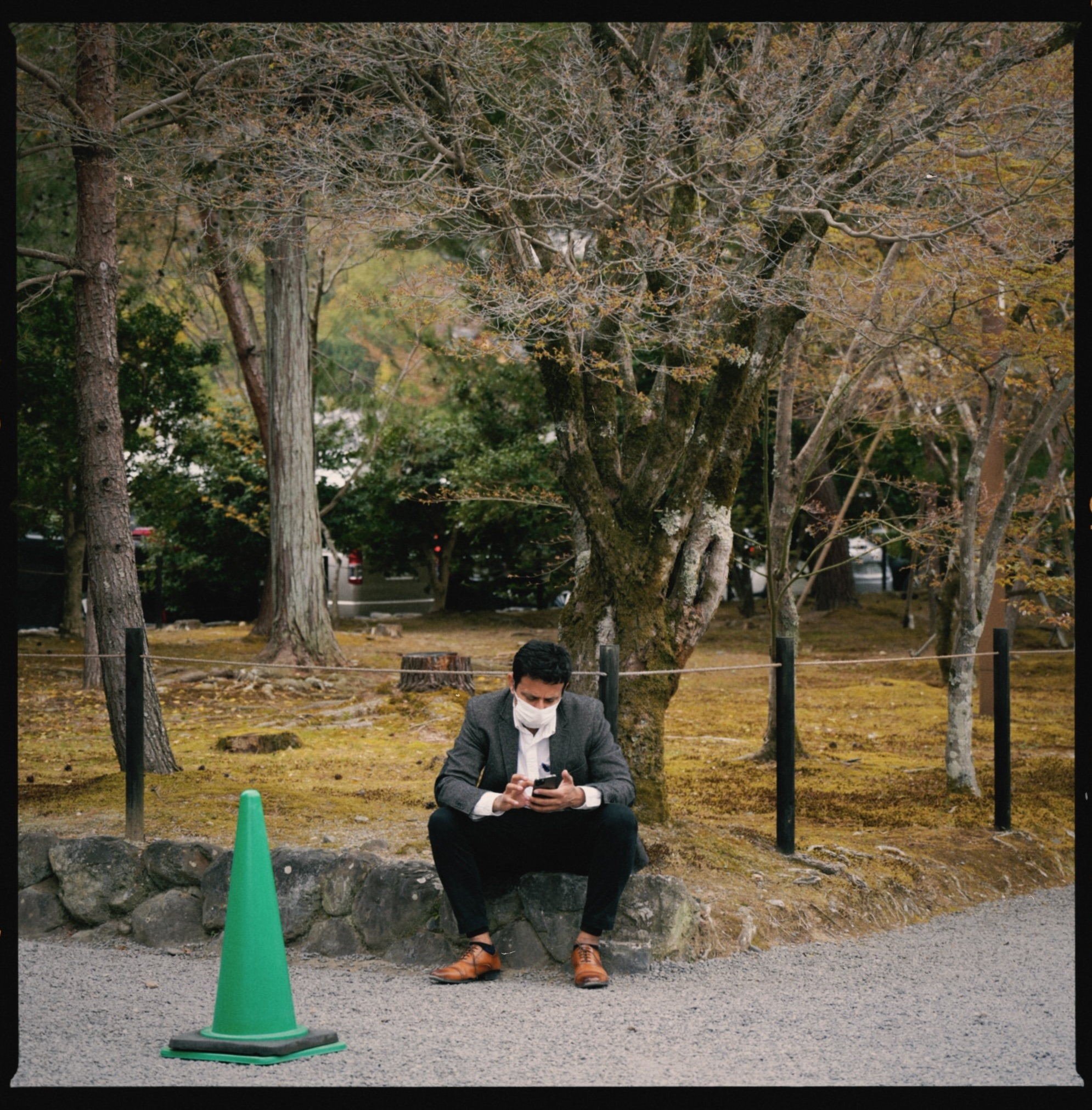 Person sitting beneath trees in a quiet park