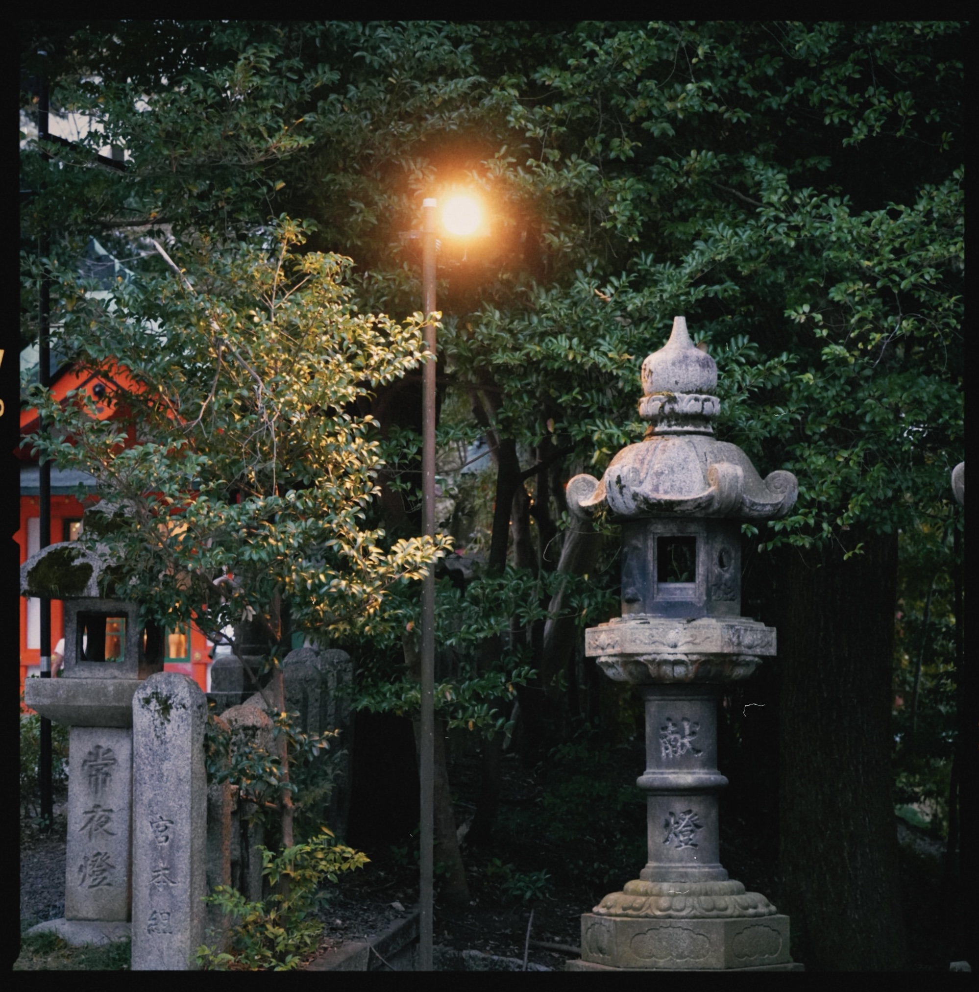 Stone lantern glowing in a wooded shrine