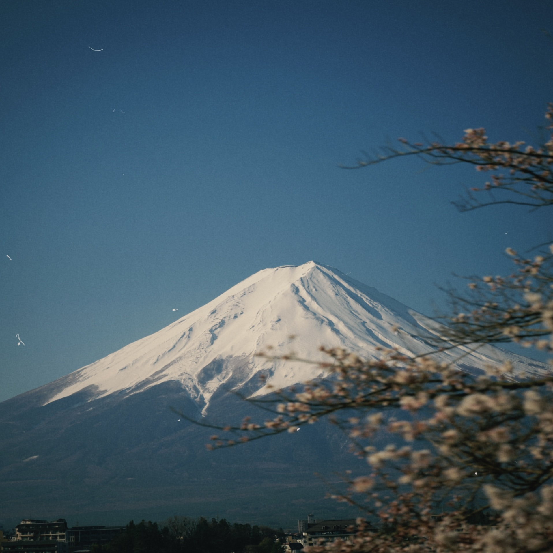 Mount Fuji beneath a clear blue sky